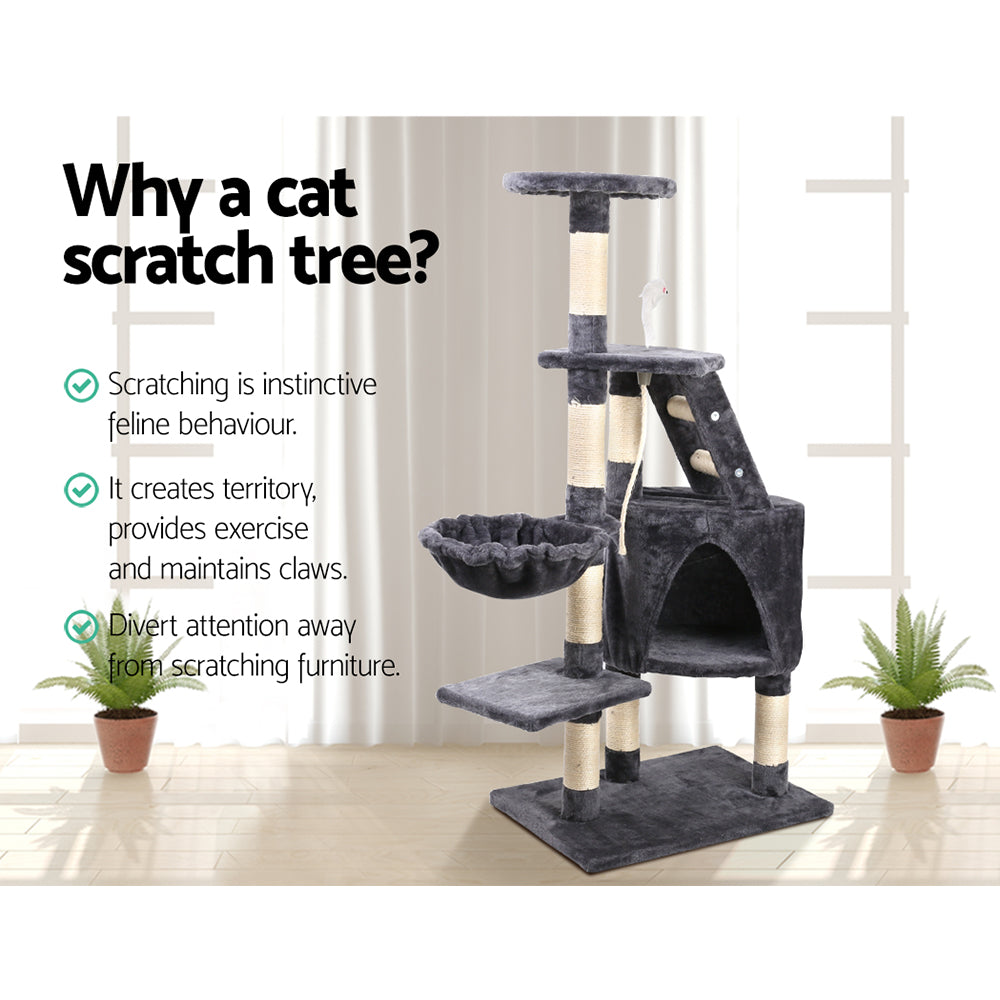 cat scratch tree for pet cat 