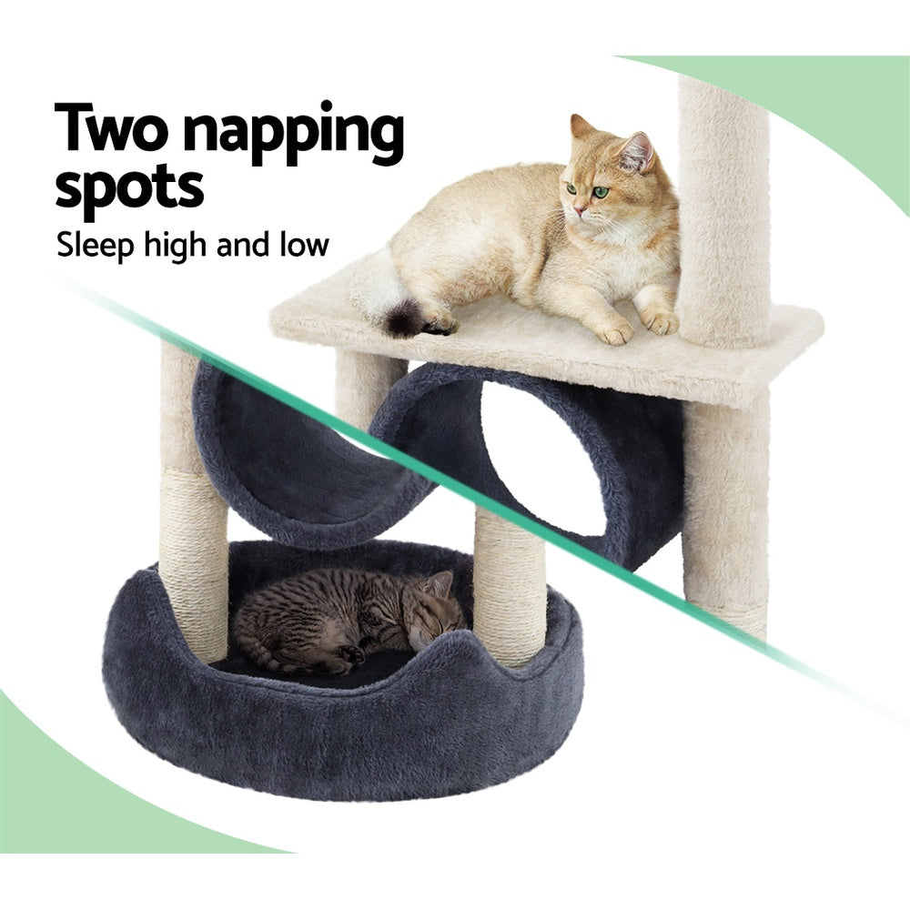 two napping spots for cat 