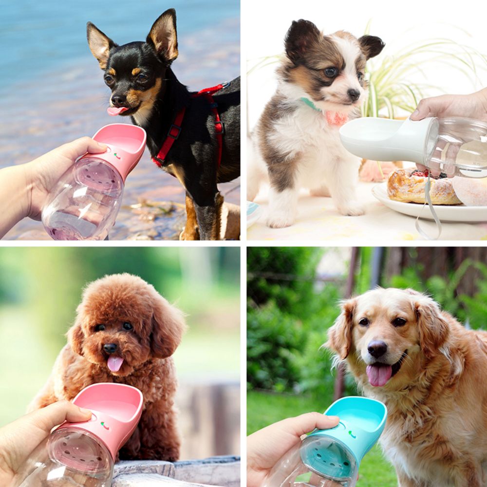 drinking water bottle for dogs 
