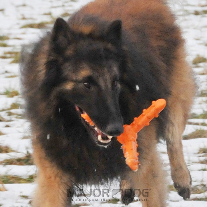 Dog WHIRL FETCH TOY