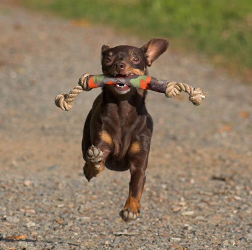  Dog Catch Dummy Fetch Toy