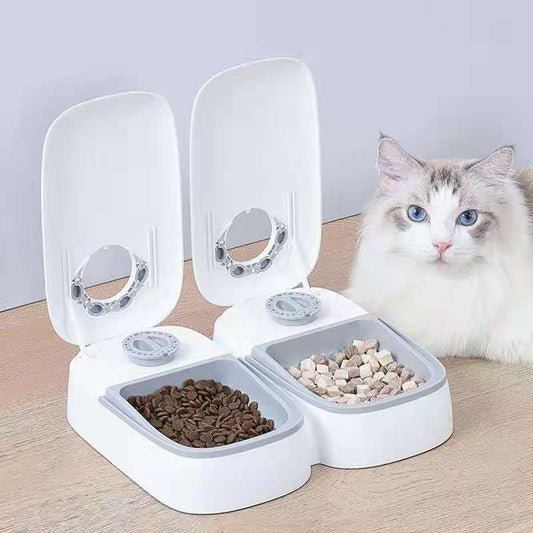 dual compartments pet feeder 