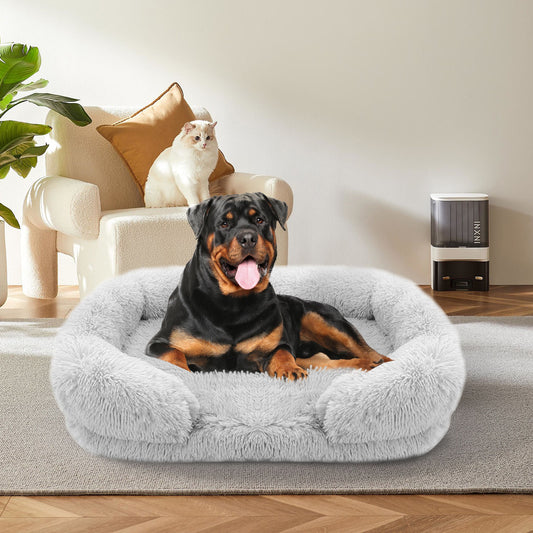DOG BED with Memory Foam 