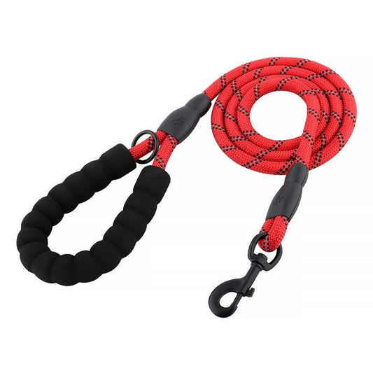 Dog lead in red 